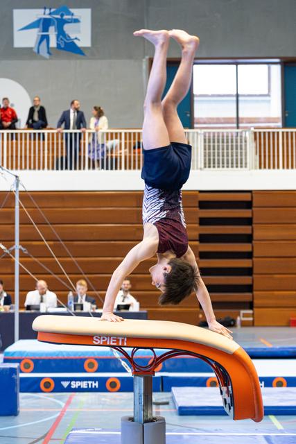Athlete performs a handstand on the pommel horse during a routine, displaying strength and balance in the sports hall
