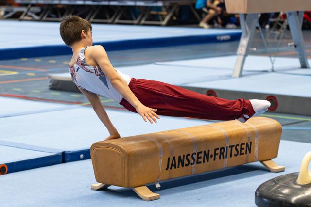 Young athlete demonstrates an L-sit position on pommel horse during training, showcasing strength and form on Janssen-Fritsen equipment