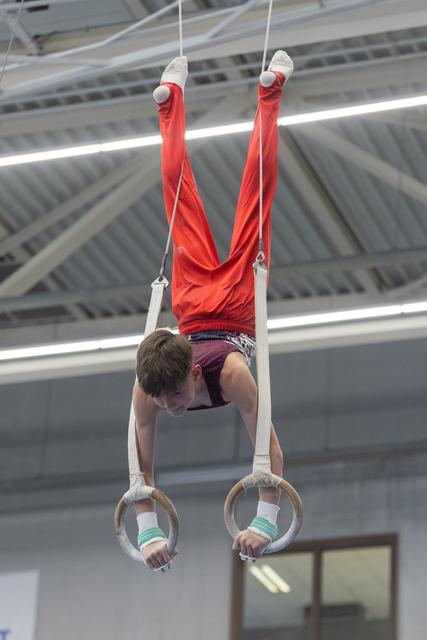 Male gymnast performs inverted handstand on rings, legs extended upward, wearing red shirt and purple shorts in training facility