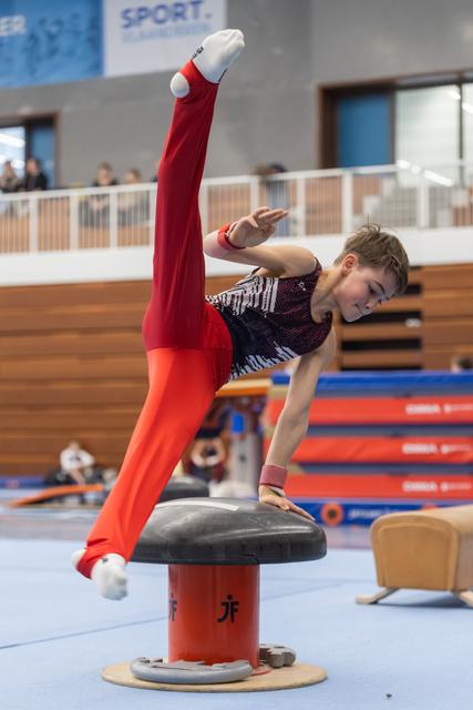 Male gymnast executes a precise handstand position on pommel horse, displaying strength and balance during his routine.