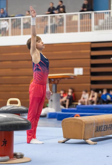 Young gymnast in pink uniform performs final salute after pommel horse routine in gymnasium competition