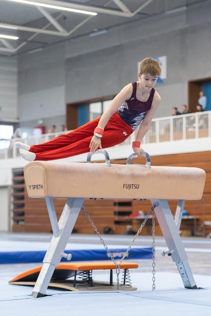 Young gymnast in red pants and purple leotard performs on pommel horse, demonstrating strength and concentration