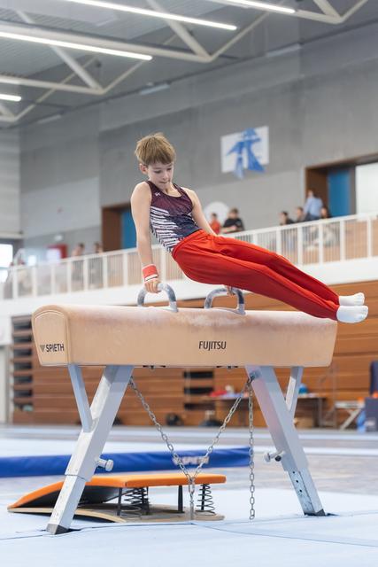 Young gymnast in red pants performs a support hold on pommel horse, demonstrating strength and concentration in training facility