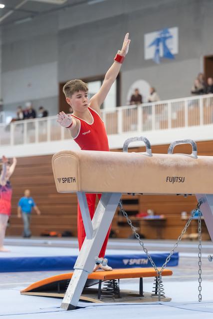 Young gymnast in red leotard completes pommel horse routine with raised arm, displaying pride in indoor gymnastics facility