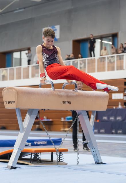 Young gymnast performs on pommel horse with red pants and purple leotard, demonstrating strength and focus during routine