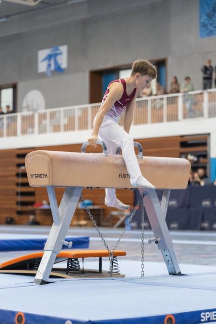 Young male gymnast in purple and white performs pommel horse routine in indoor gymnasium with spectators watching from balcony