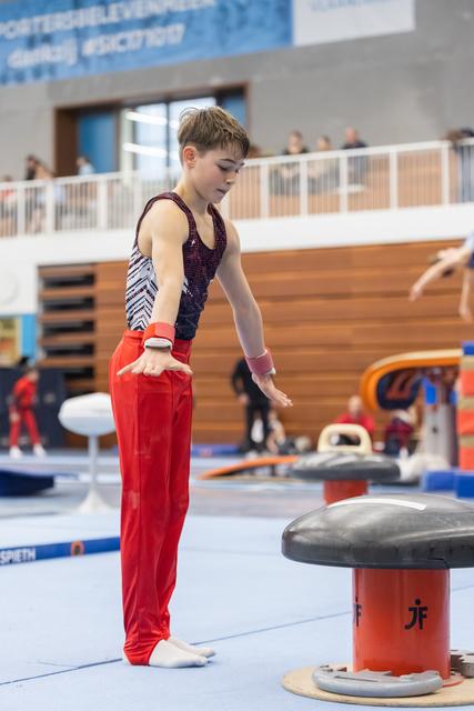 Young gymnast in red pants and sparkly leotard stands focused beside pommel horse, preparing for routine in training facility