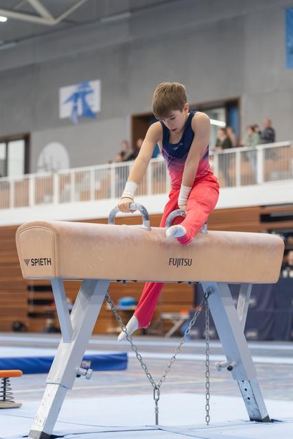 Young gymnast in pink and navy leotard grips pommel horse handles, focused and ready to begin routine in training facility