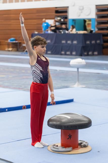 Young male gymnast stands at attention with one arm raised, preparing for pommel horse routine in training facility