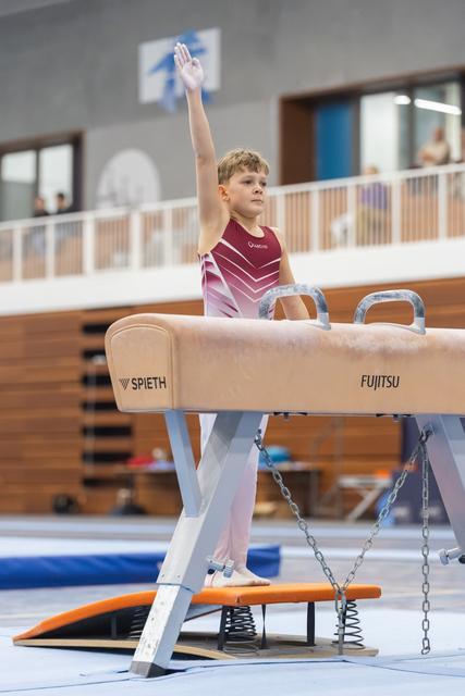 Young male gymnast in maroon leotard stands on pommel horse with arm raised in salute, focused expression in training facility