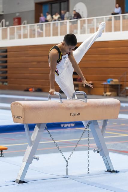 Gymnast performs pommel horse routine with extended leg, demonstrating strength and control in white competition uniform