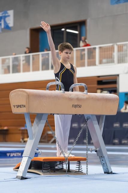 Young gymnast in navy leotard stands on pommel horse with one arm raised, preparing for his routine in competition hall