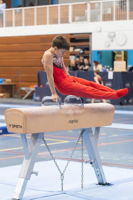Young gymnast performs an L-sit hold on pommel horse, wearing red uniform, demonstrating strength and concentration