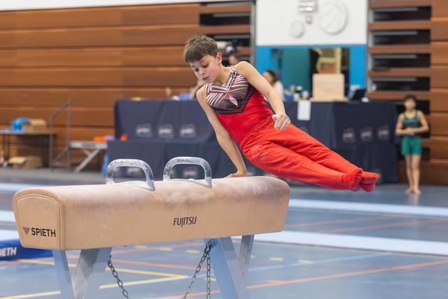 Young gymnast in red performs a horizontal hold on pommel horse, demonstrating strength and concentration during training.
