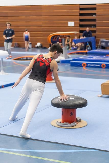 Young gymnast in red and black leotard practices balance and positioning on pommel horse mushroom apparatus in training facility