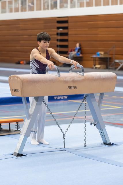 Young male gymnast gripping pommel horse handles, focused concentration visible, training in indoor gymnasium facility
