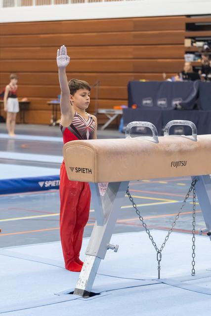 Young gymnast in red outfit stands at attention with raised arm, preparing to perform on pommel horse apparatus.