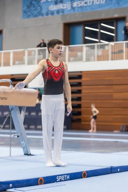 Young male gymnast in red and navy leotard stands focused beside pommel horse, preparing for his routine in the arena