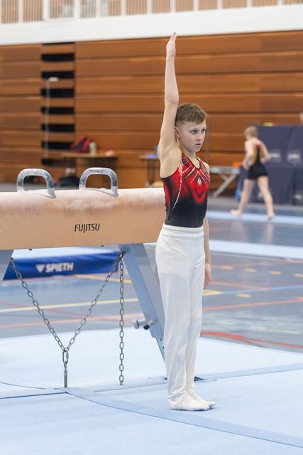 Young gymnast in red and black leotard stands with arm raised beside pommel horse, focused and ready to perform