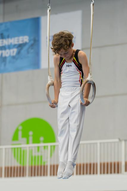 Young male gymnast grips still rings with focused downward gaze, wearing Belgian colors in a gymnasium.