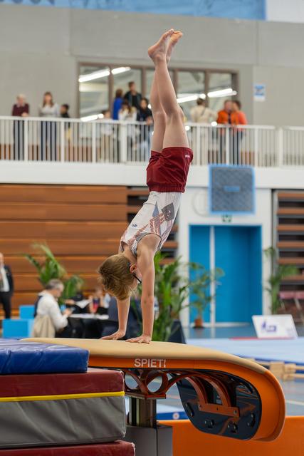 Young gymnast performs a precise handstand on a Spieth vault in an indoor gymnastics hall, body fully extended upward.