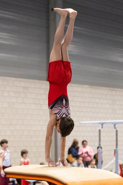 Young male gymnast performing a handstand on the vaulting table during practice, displaying strength and balance.