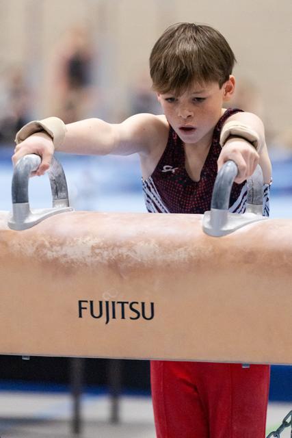 Young gymnast grips pommel horse handles with intense concentration during routine, wearing maroon leotard in training facility