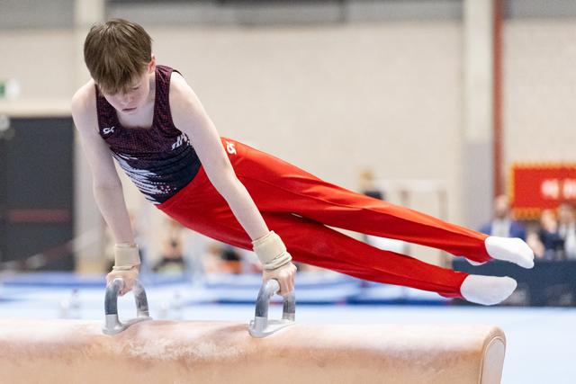 Young gymnast performs on pommel horse with intense focus, wearing purple and red uniform, gripping handles during routine