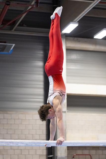 Male gymnast performs a vertical handstand on parallel bars, demonstrating strength and balance during training