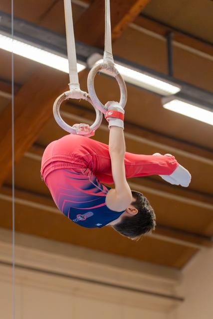 Young male gymnast holds an inverted position on still rings, face calm and focused, in a wood-panelled gymnasium.