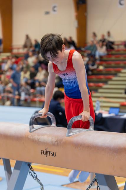 Young male gymnast grips pommel horse handles with intense focus, leaning forward in red and blue leotard before audience.