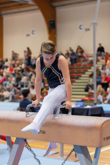 Young male gymnast concentrating intently while performing on the pommel horse before a packed crowd.