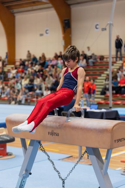 Young male gymnast sits focused on pommel horse mid-routine, wearing red and navy leotard before a packed crowd.