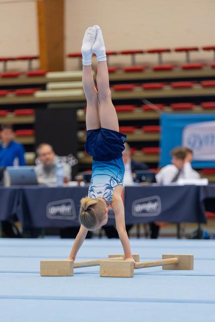 Young gymnast performs a precise handstand on parallel bars, legs straight up, during an indoor gymnastics meet.