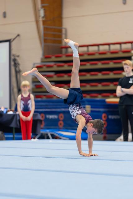 Young boy performs a one-armed handstand on the floor exercise mat, focused and balanced, during a gymnastics competition.