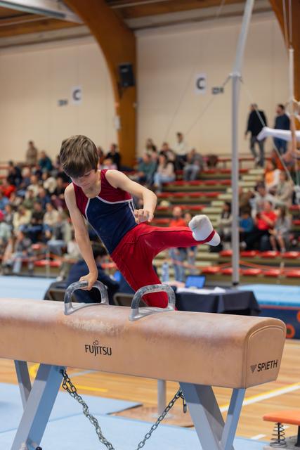 Young male gymnast grips pommel horse handles with intense concentration, leg raised mid-routine before a packed crowd.
