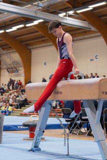 Young male gymnast concentrates intensely while performing on the pommel horse, wearing red pants and patterned leotard.
