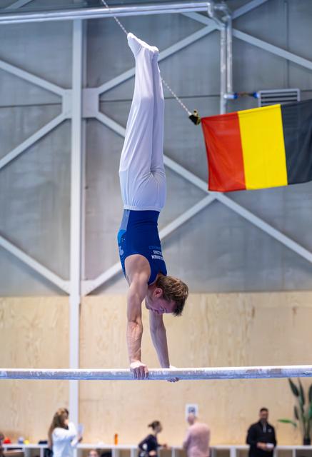 Male gymnast performs handstand on pommel horse with German flag hanging in background during training session