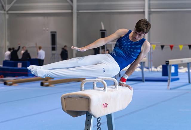 Male gymnast performing a horizontal hold on the pommel horse, demonstrating strength and control during a competitive routine.